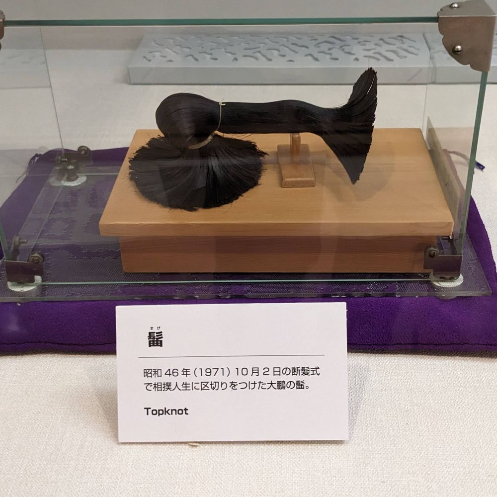 杉野森