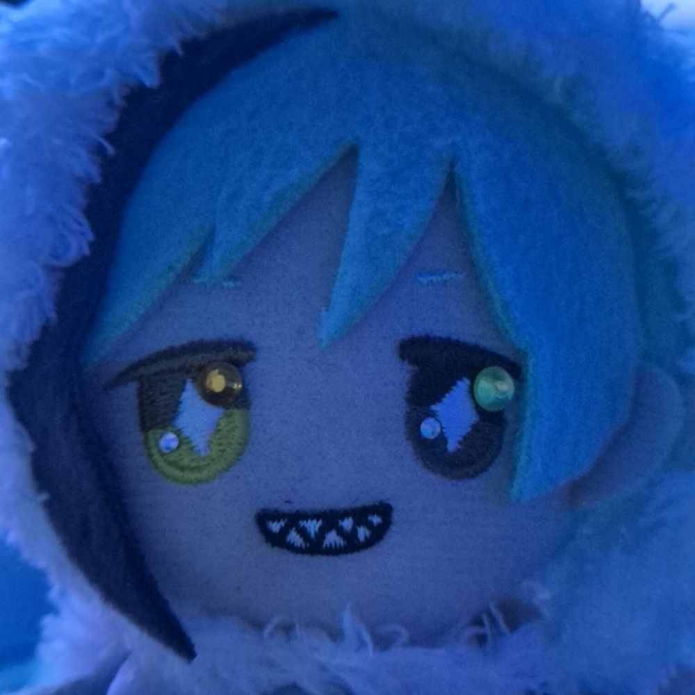 김금