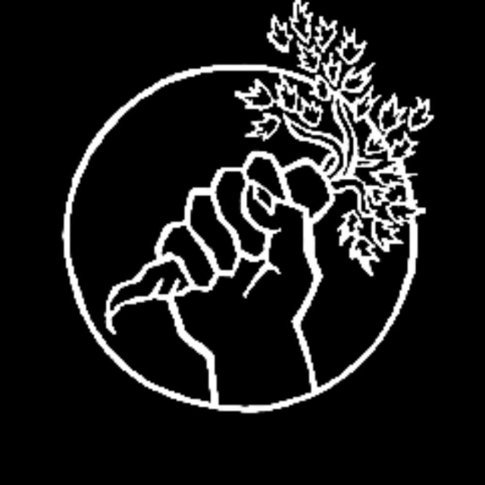 Food Not Bombs, Plano TX
