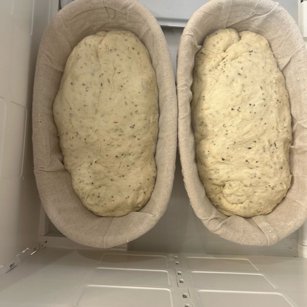 Sourdough Newbie