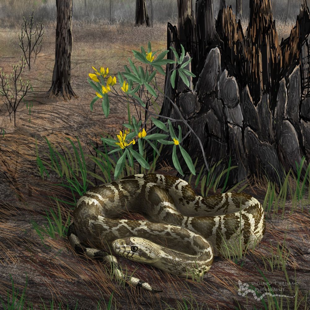 Cre8ivenaturalist