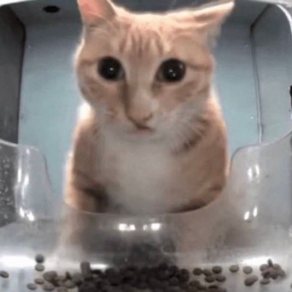 니오