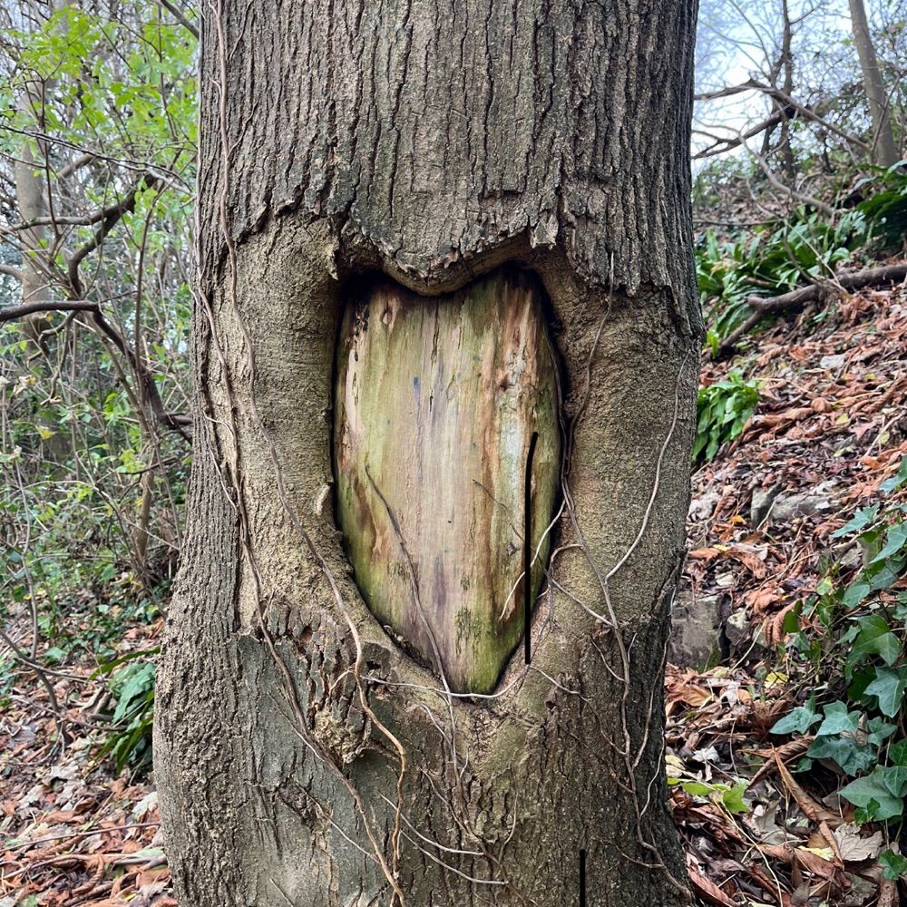 Weston-super-Nature