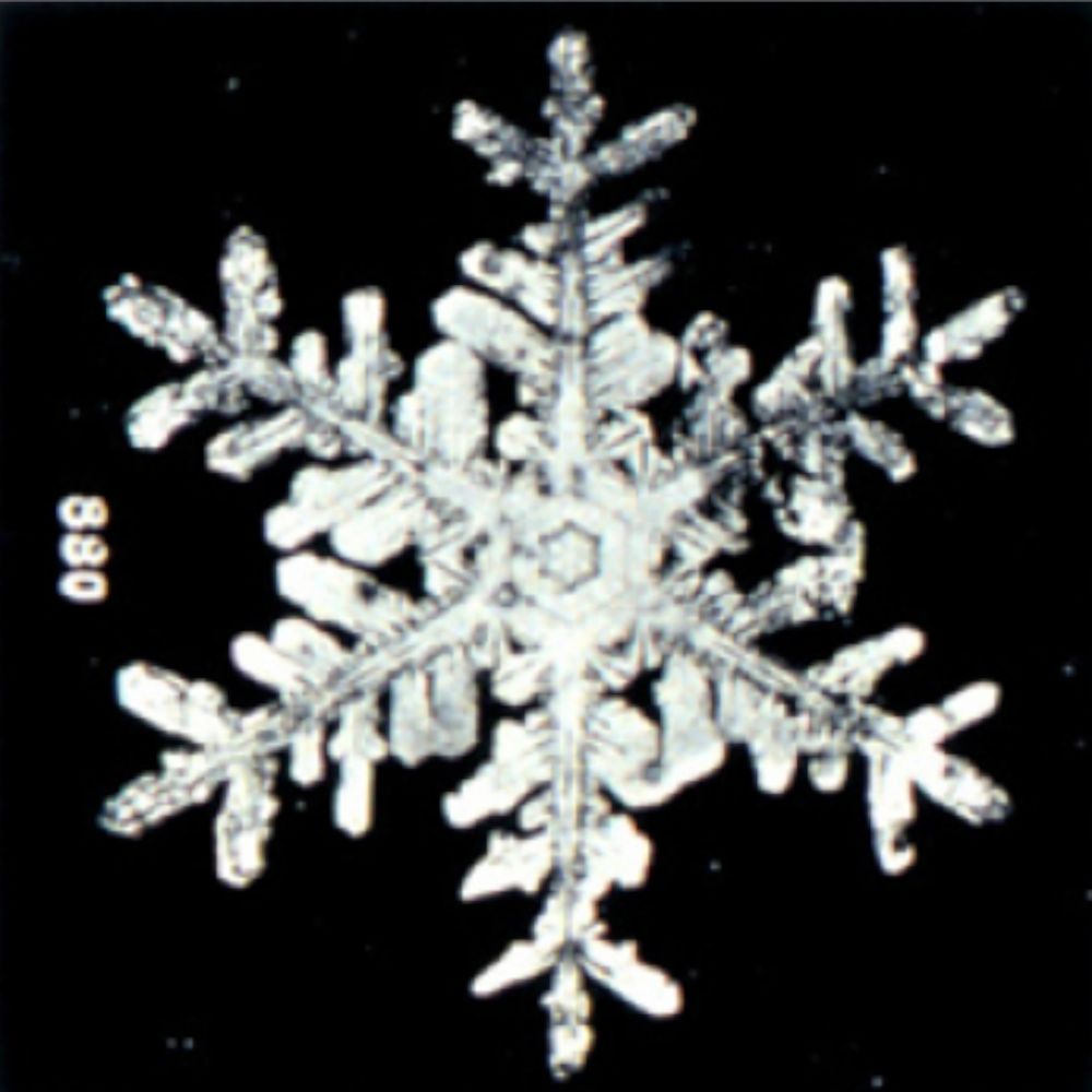 Snowcen