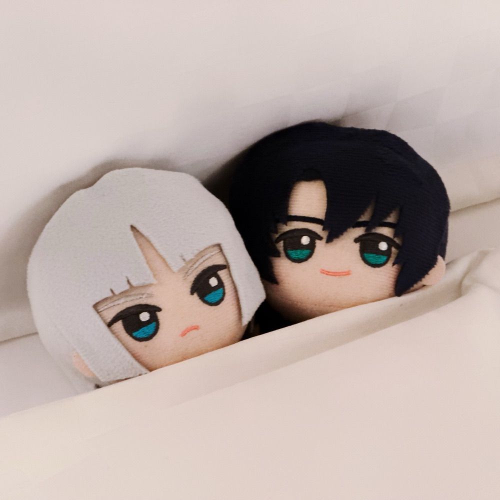 ナシ
