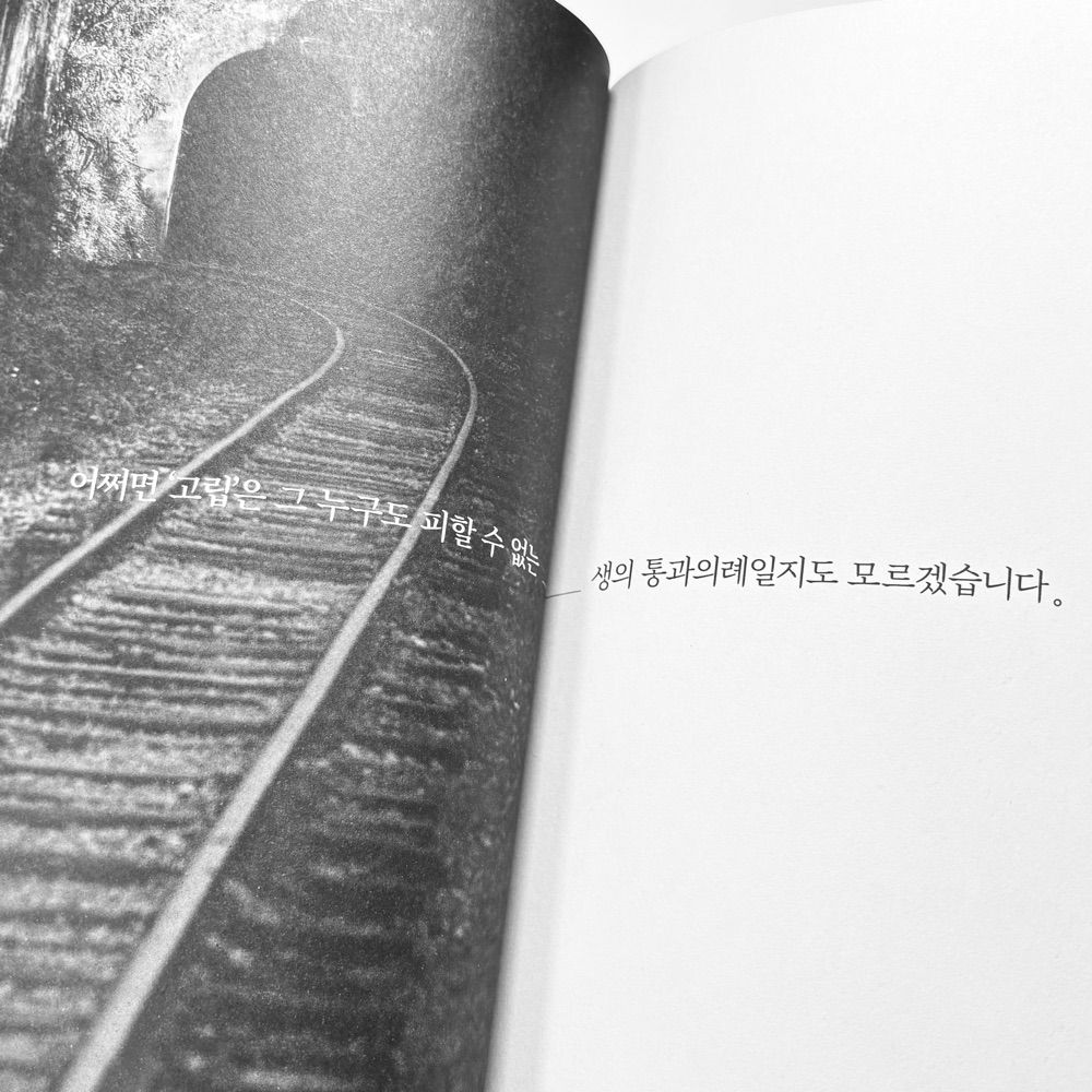 새결