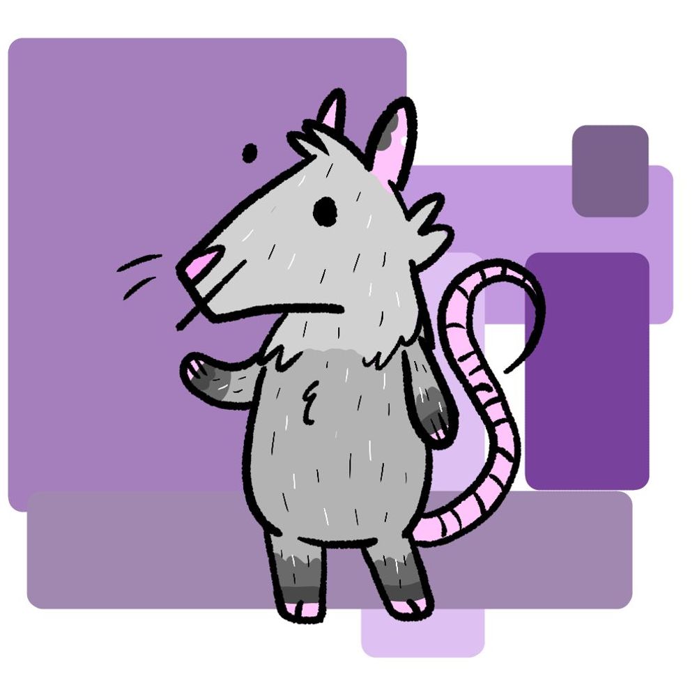 Crazed Opossum