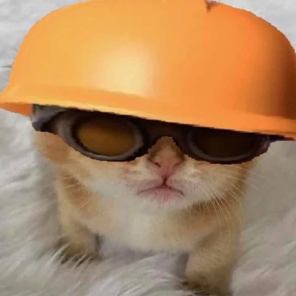 ju 