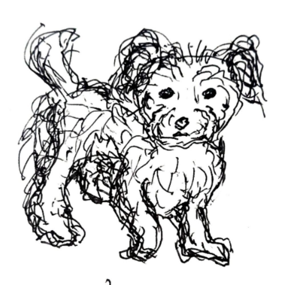 kameoshimao