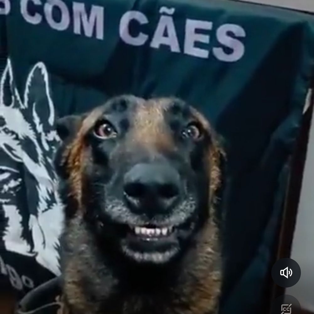 A que custo?