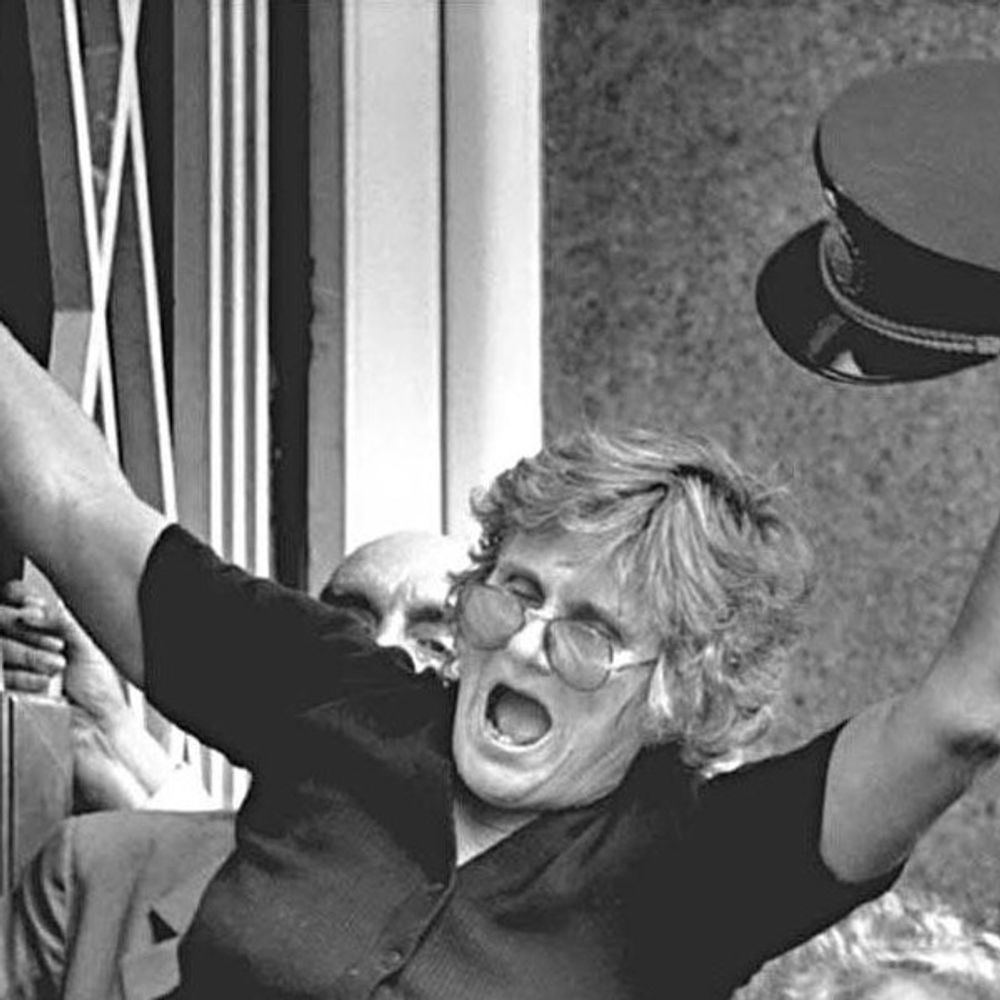 Norma Pla Vive