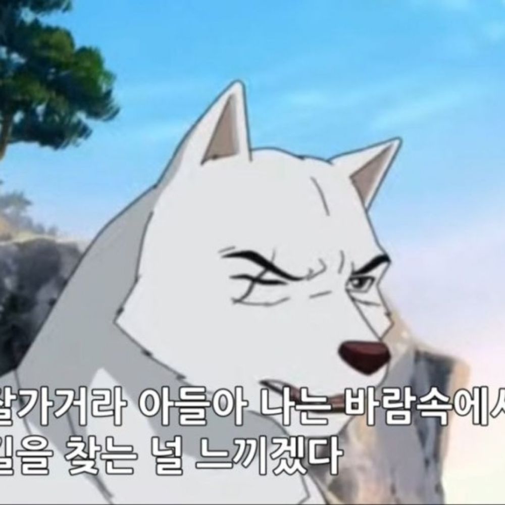 ㅉㅁ