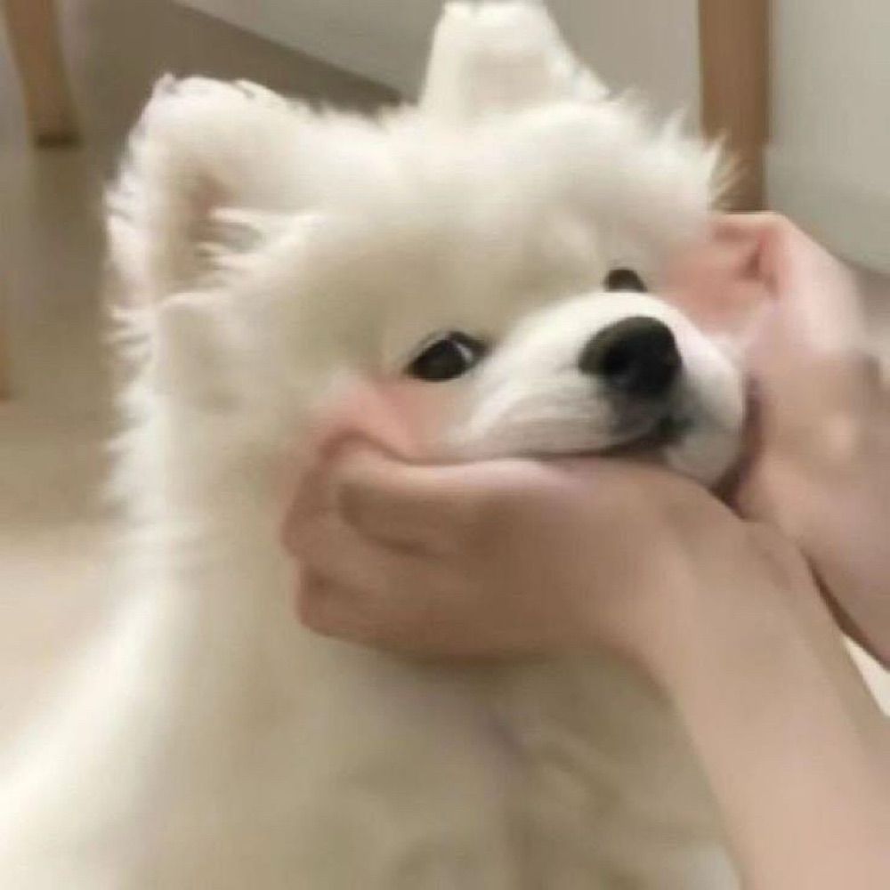 นอนอ.