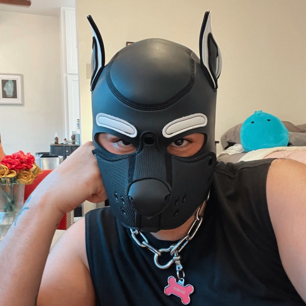 Pup Domino ⚪️⚫️