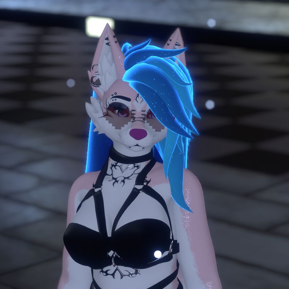 Kumi the fox