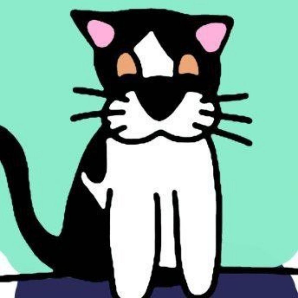 misu gatito chiquitito