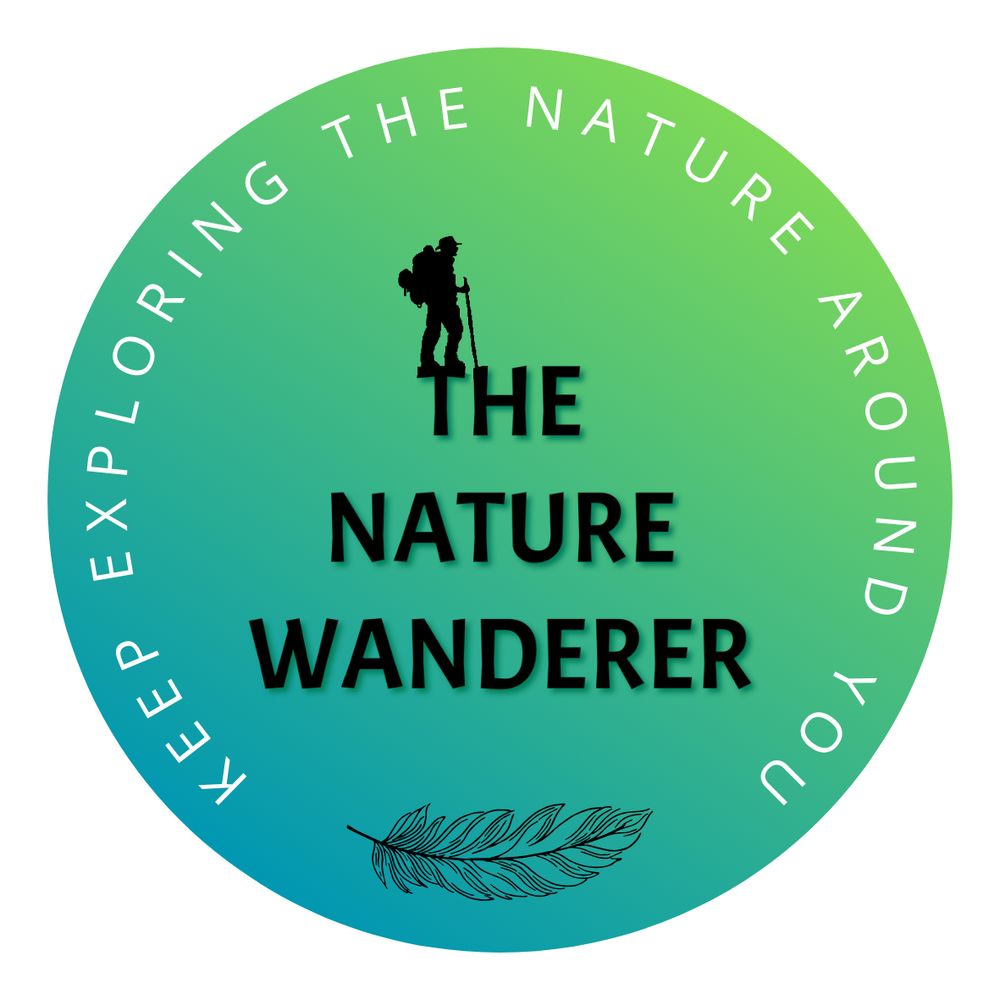 The Nature Wanderer