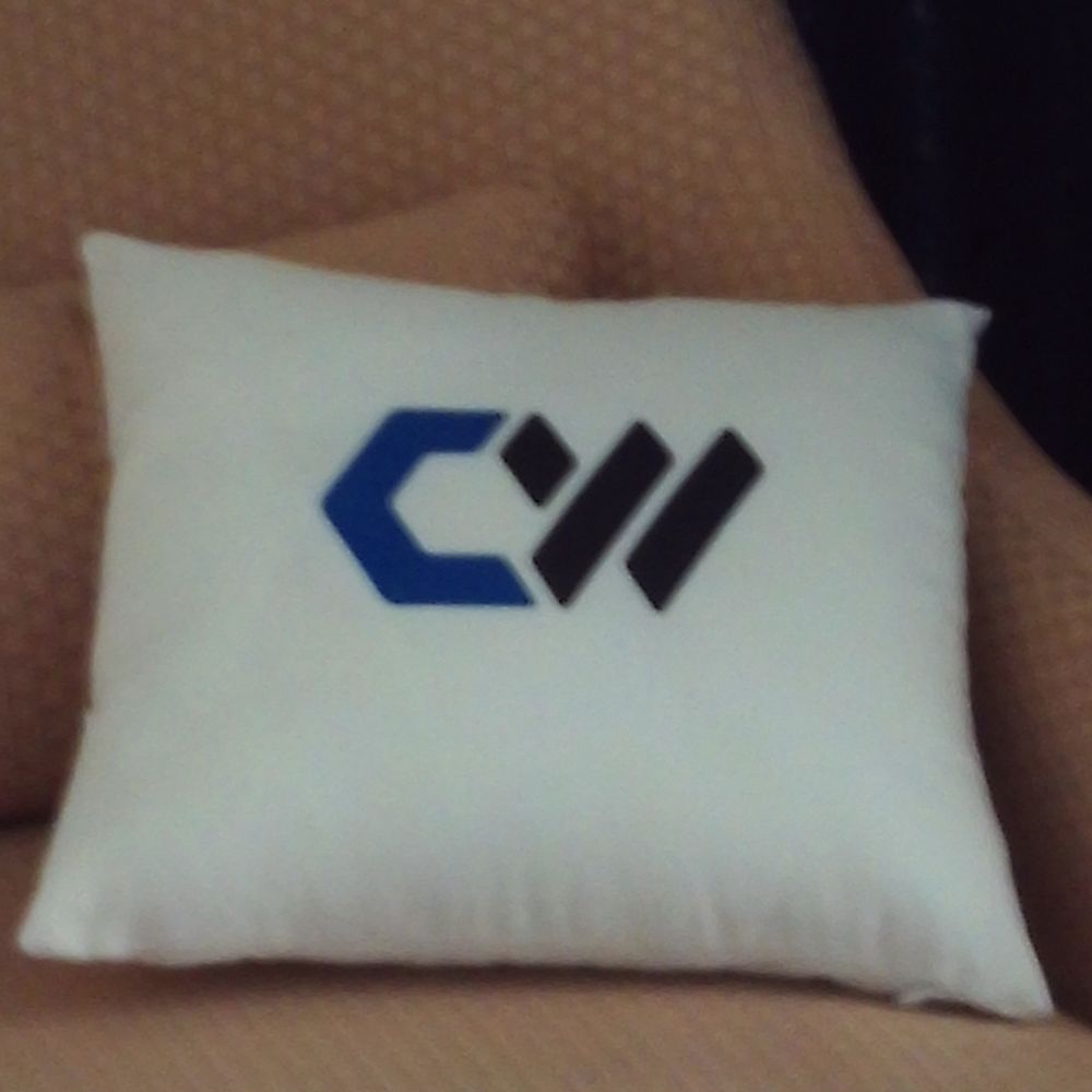 CW Pillow