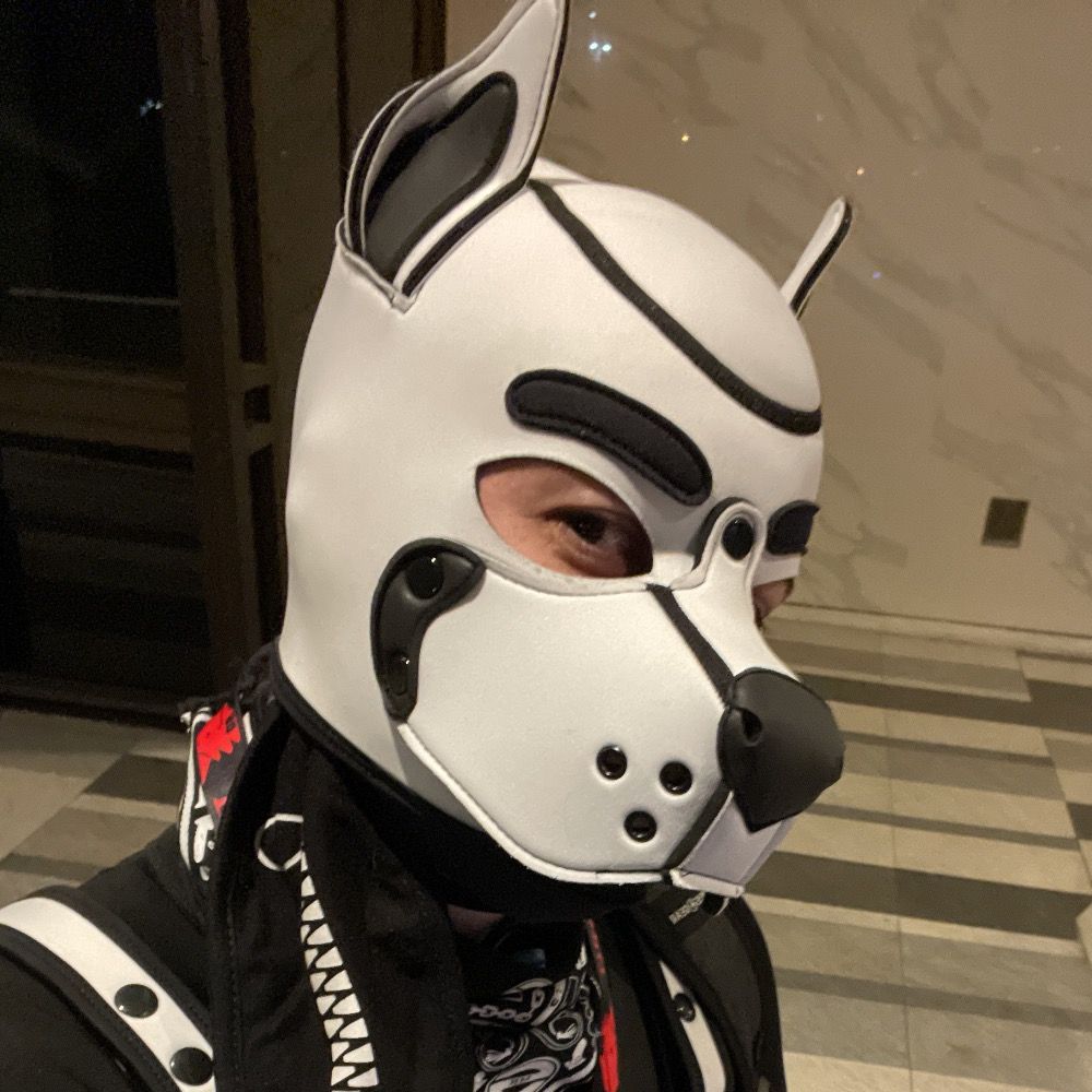 Pup Kains