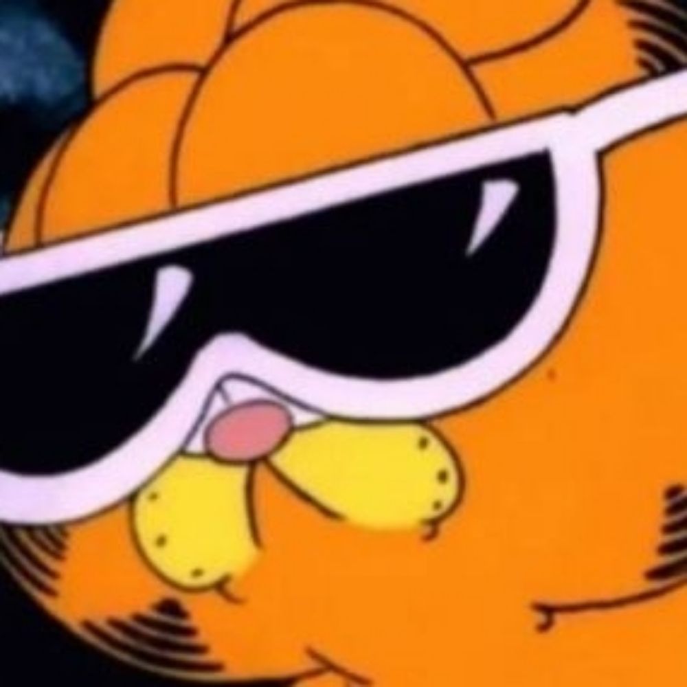 Bonk