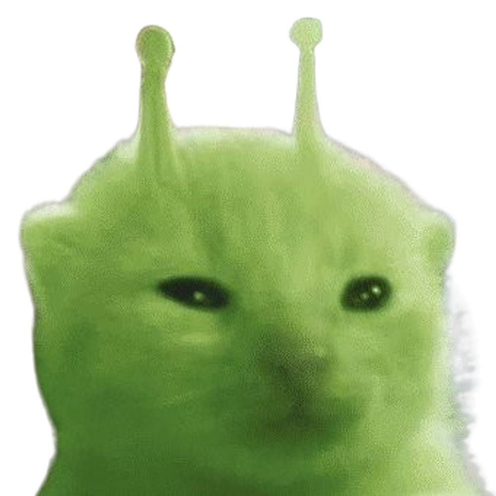 FloopySoupy