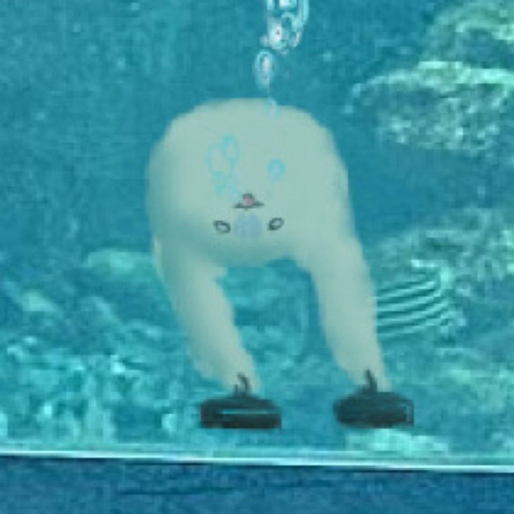 瞶