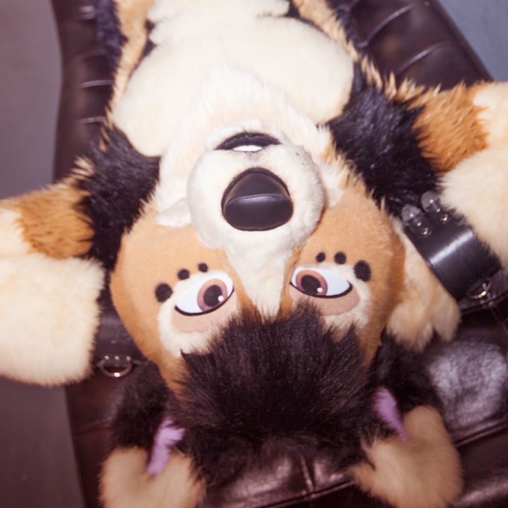 AvikFurry