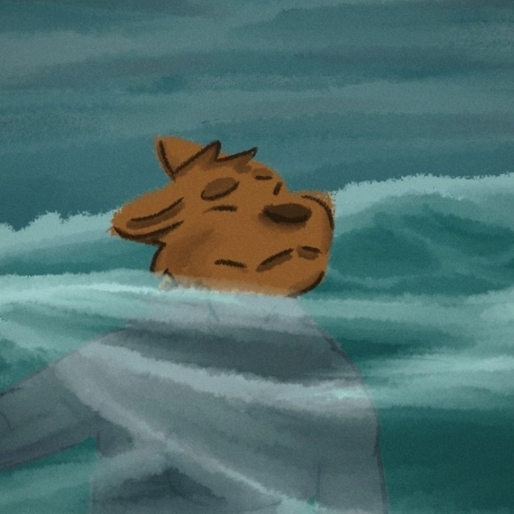 Stimk Shibe