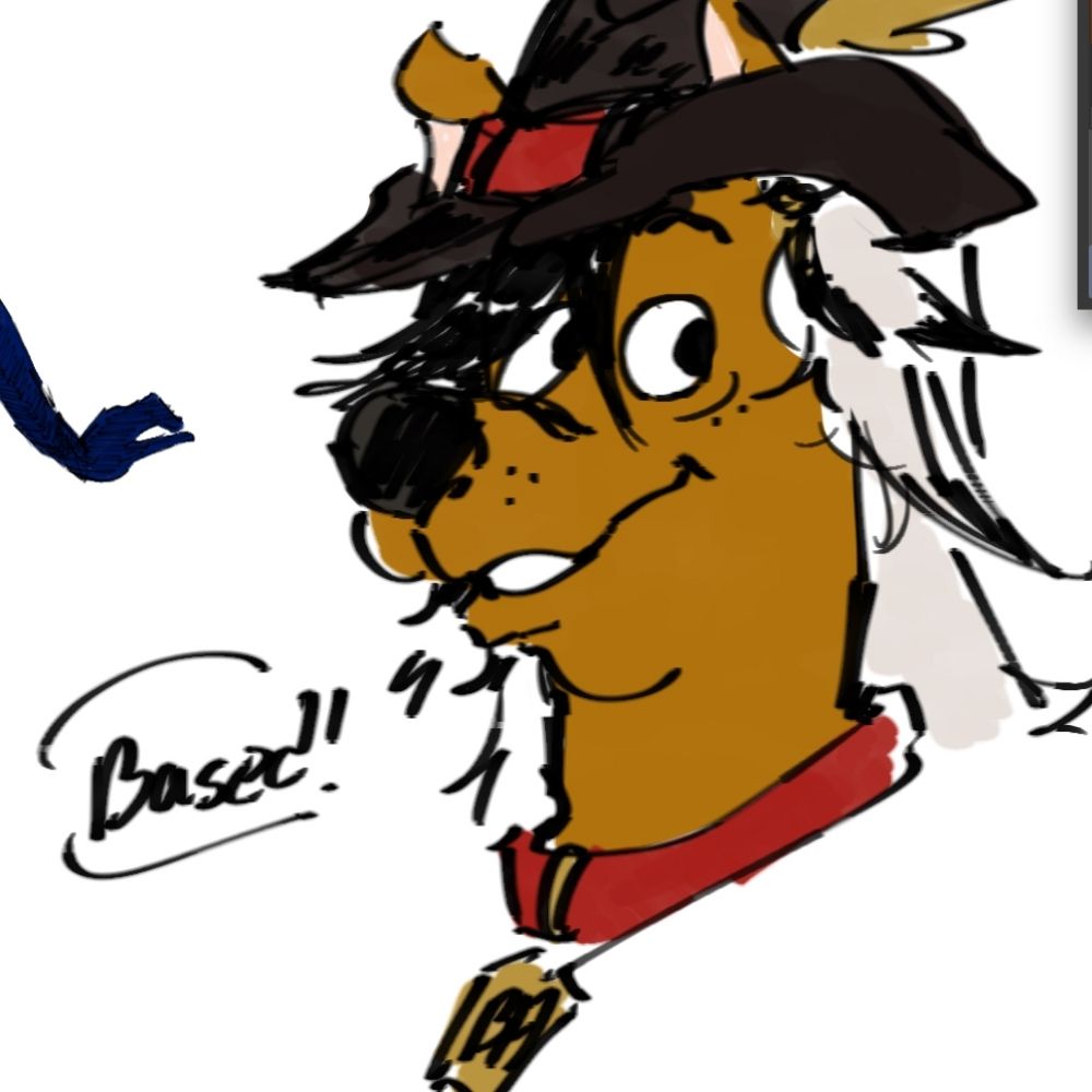 beef