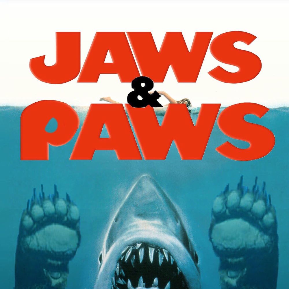 SharkBear