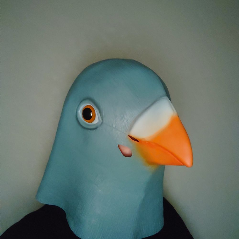 よるひる