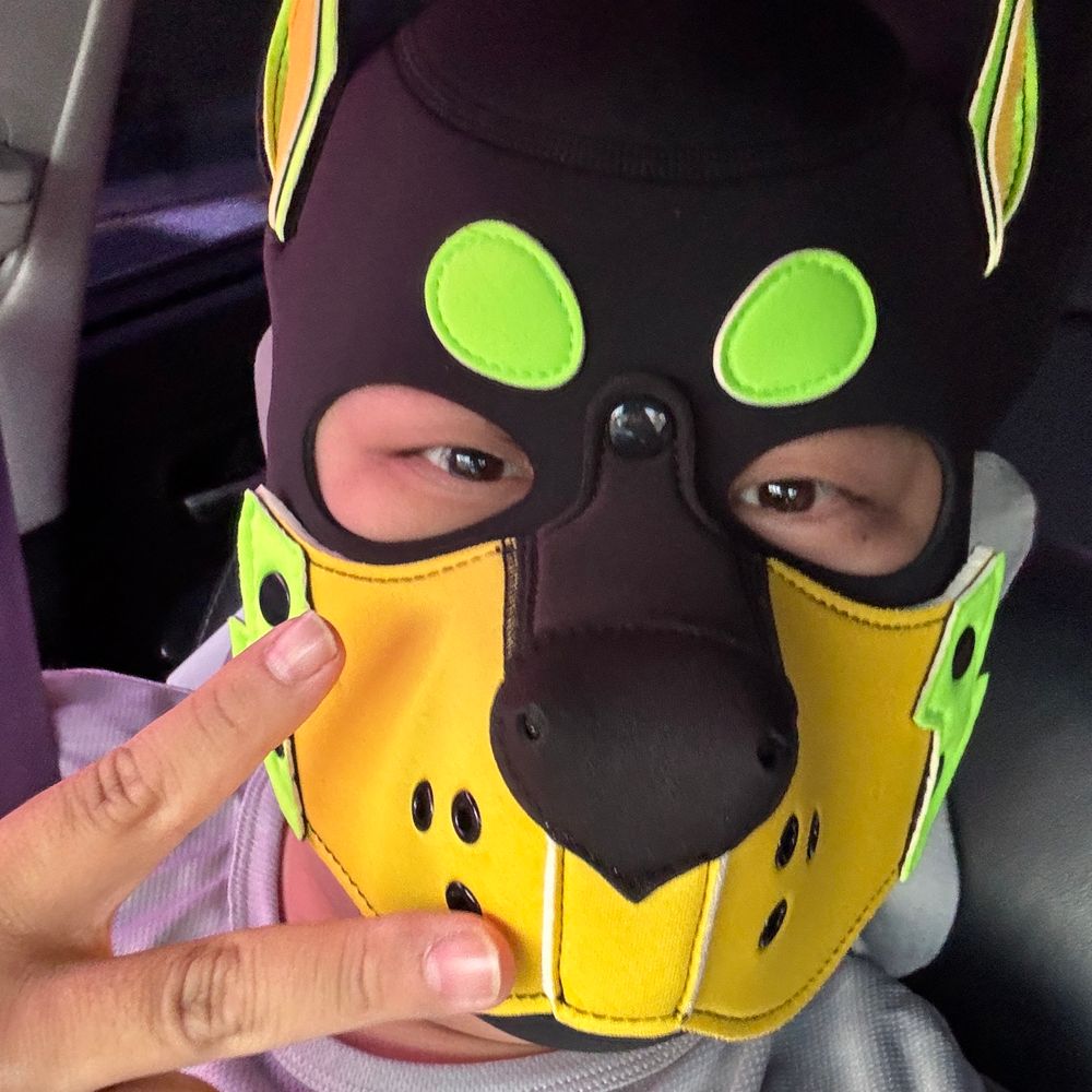 Pup.Luke