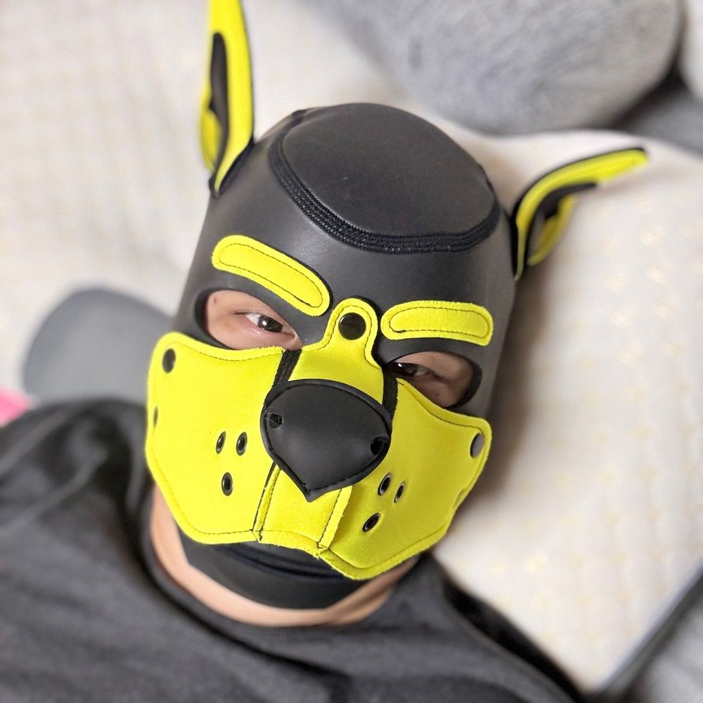 Pup.Luke
