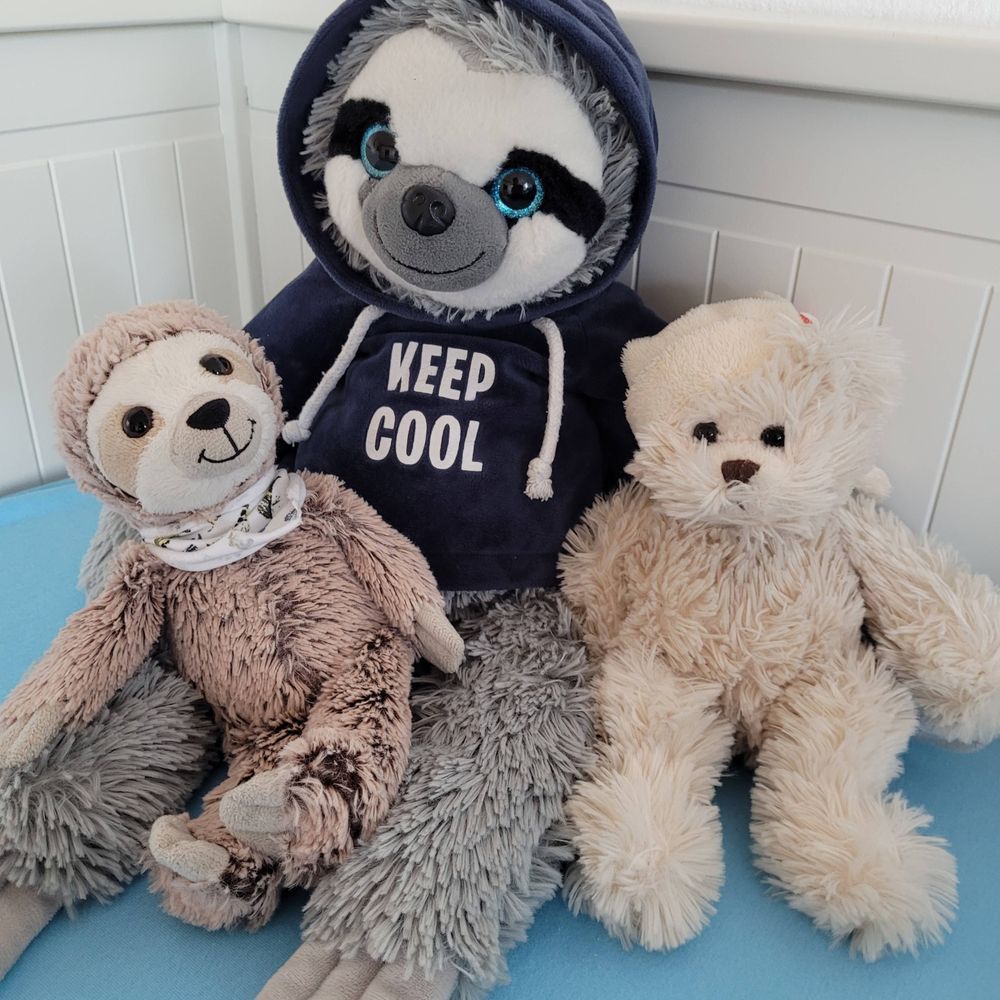 Schnuftis Crew: Faultier, Lenz & Teddy