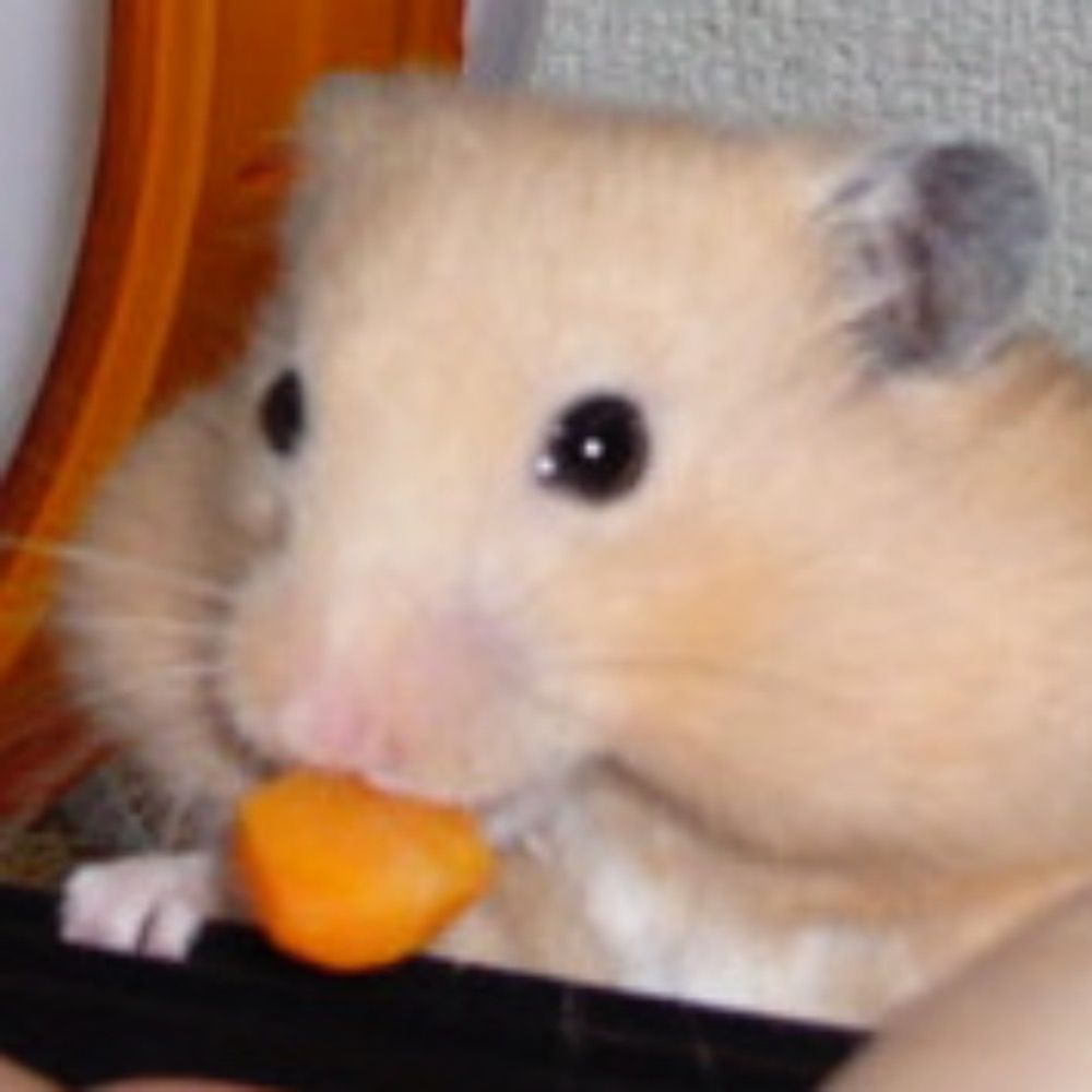 失敗続きのユメノ