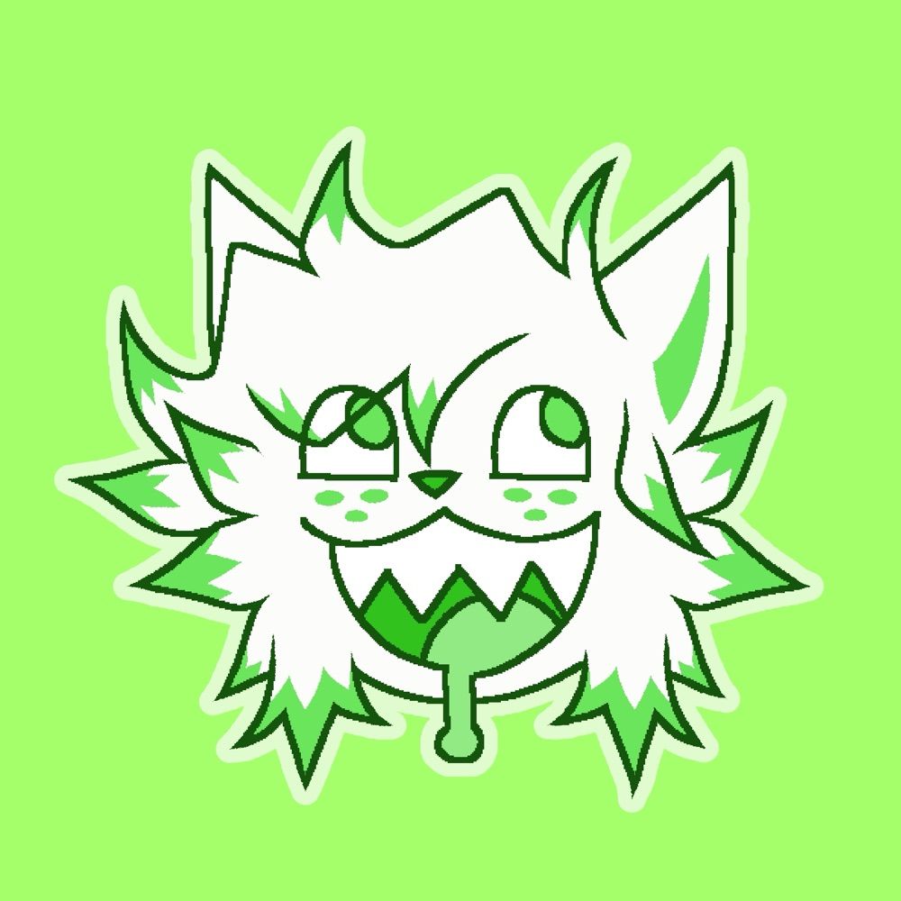 volo’s boything