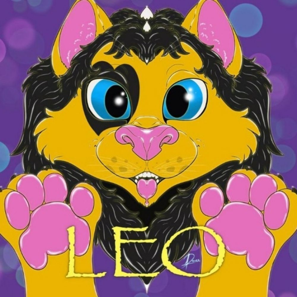 Leo 💛