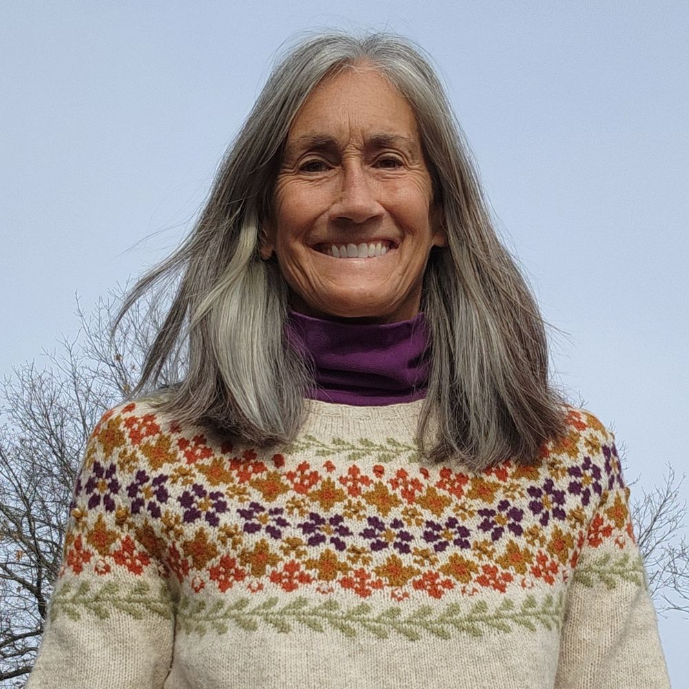 Laura Cominetti