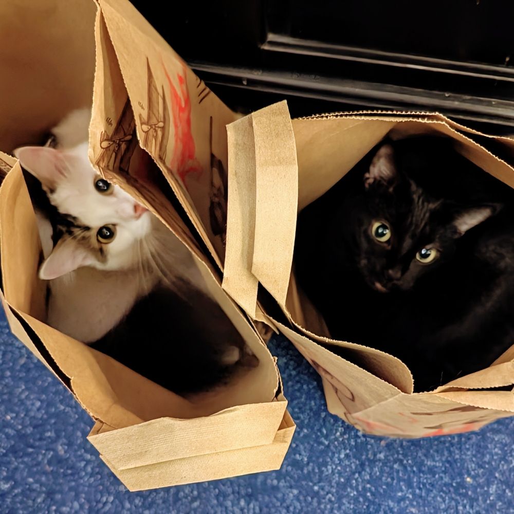 Tigger & Asparagus