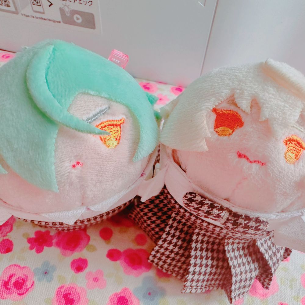 ルル猫