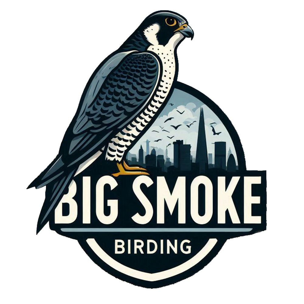 Big Smoke Birding Ltd