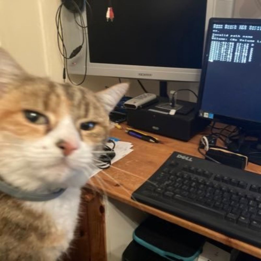 L Break Into Program's Cat
