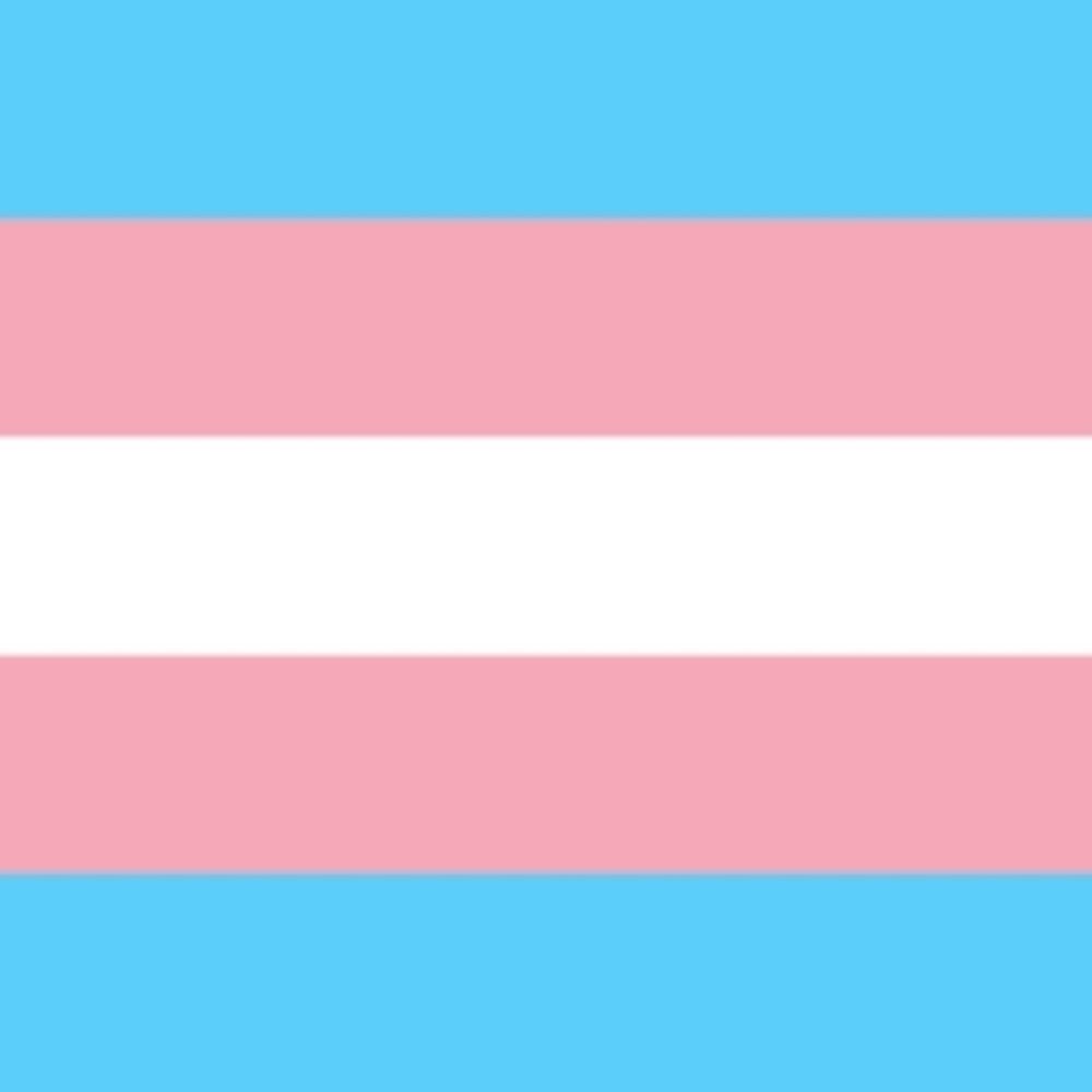 Trans Action Alerts
