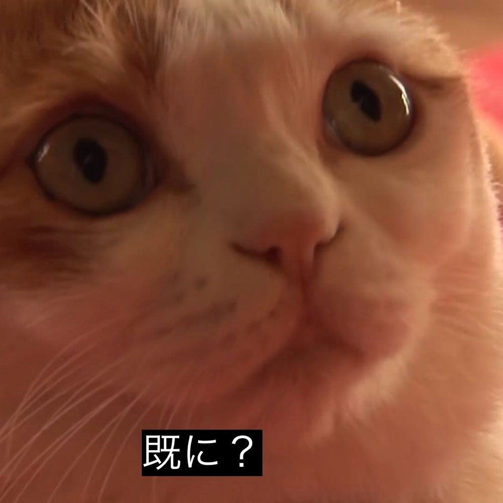 いすかーち