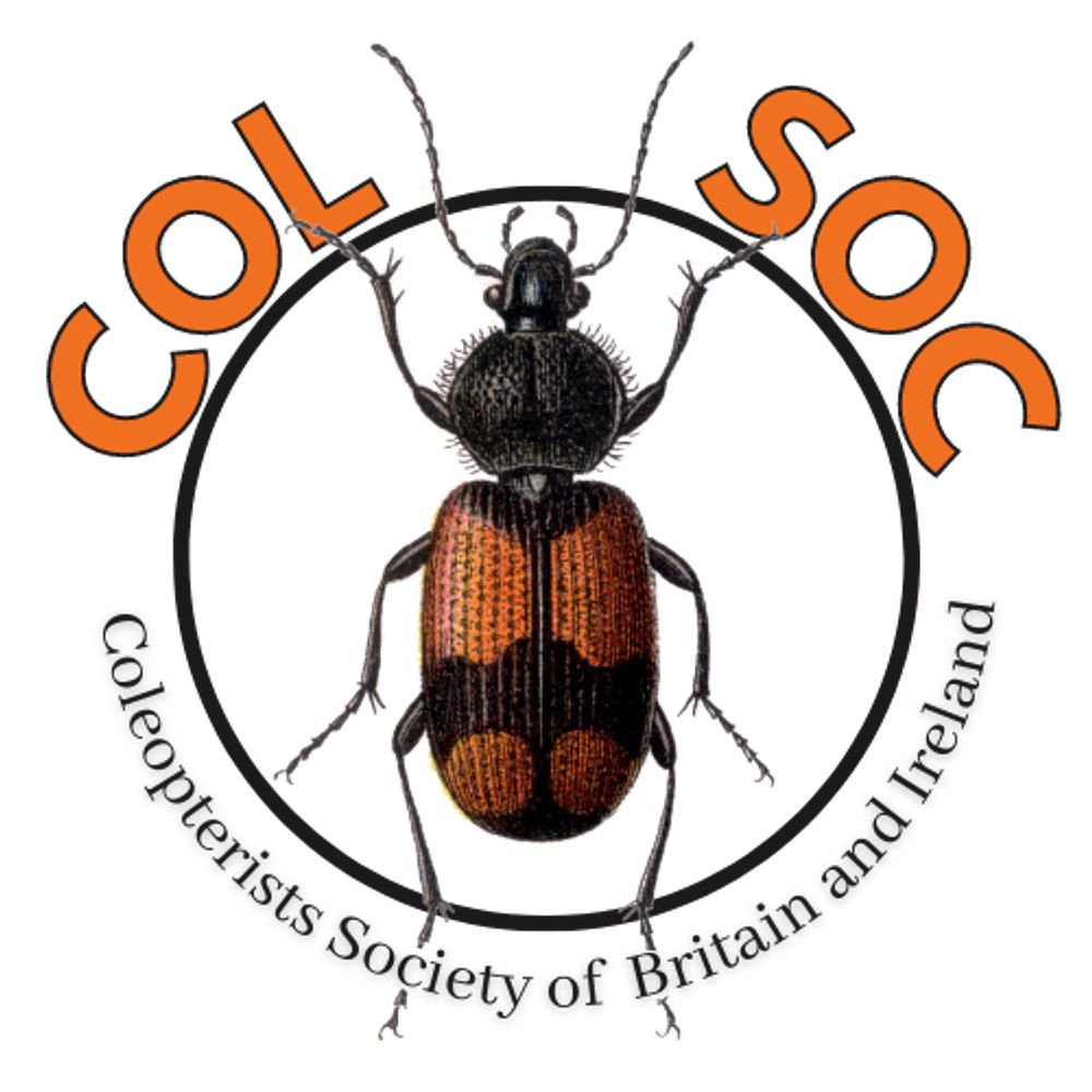 The Coleopterists Society of Britain and Ireland