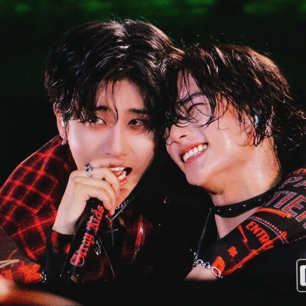 Liv 🌿saw skz