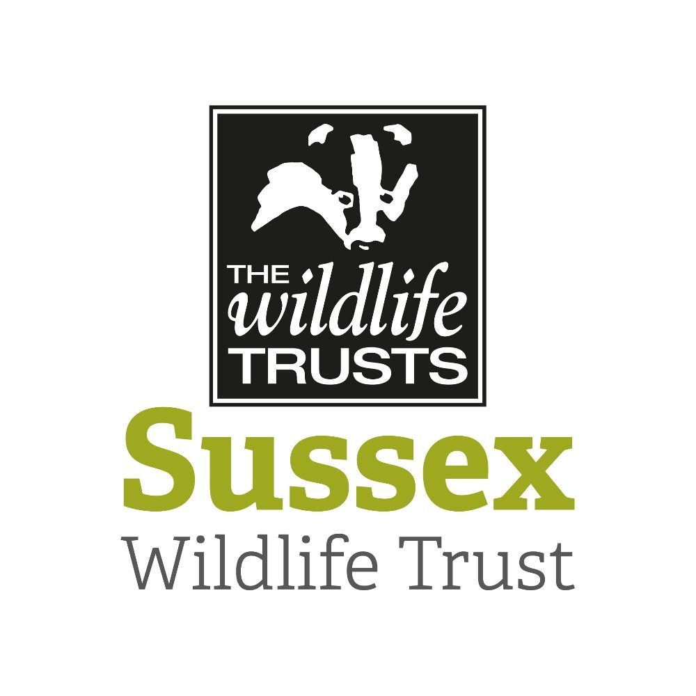 Profile picture sussexwildlife.bsky.social