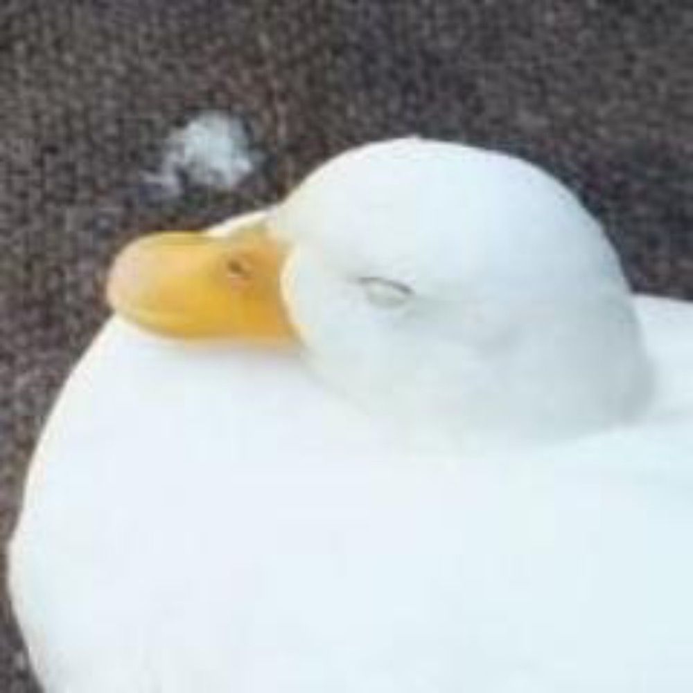 淙穂鶫箜（そうすいとうこう）