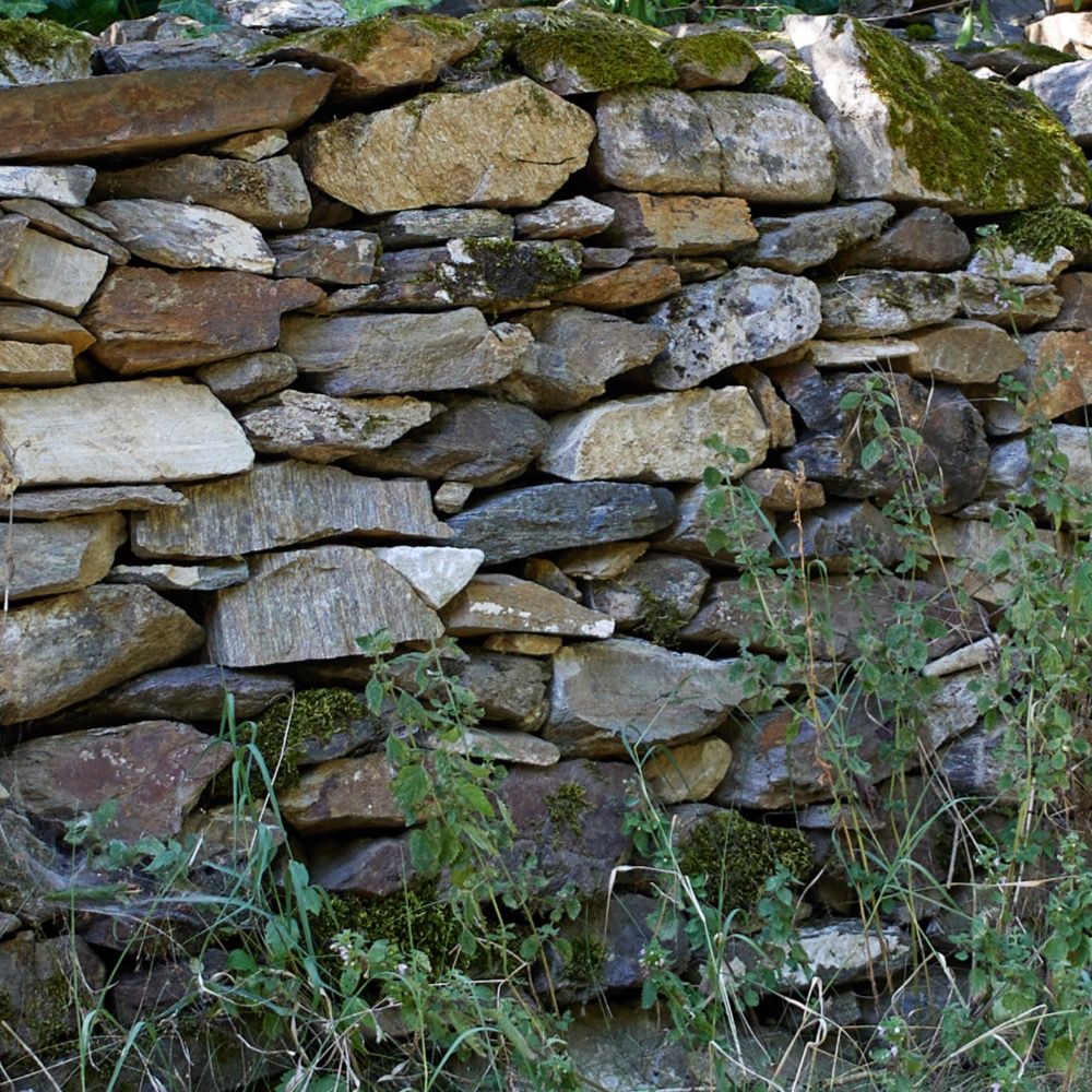 Lovely drystone walls