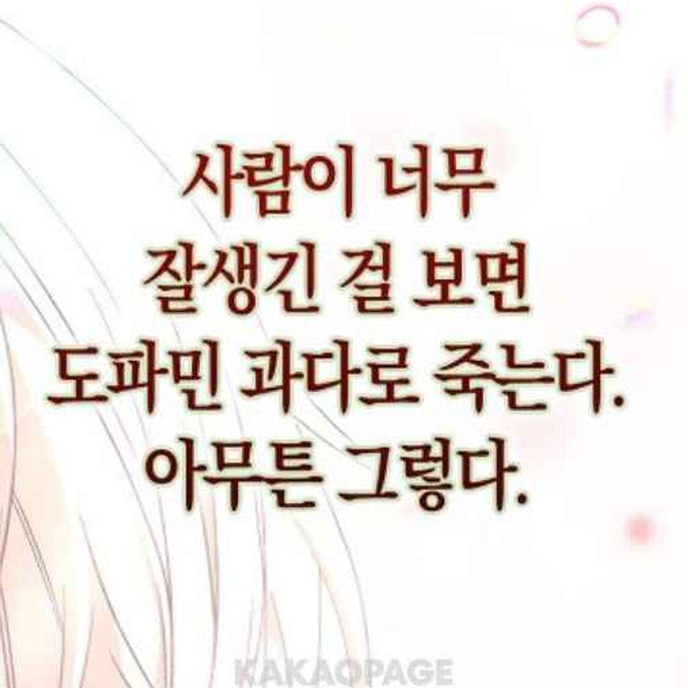 미인 탐색기